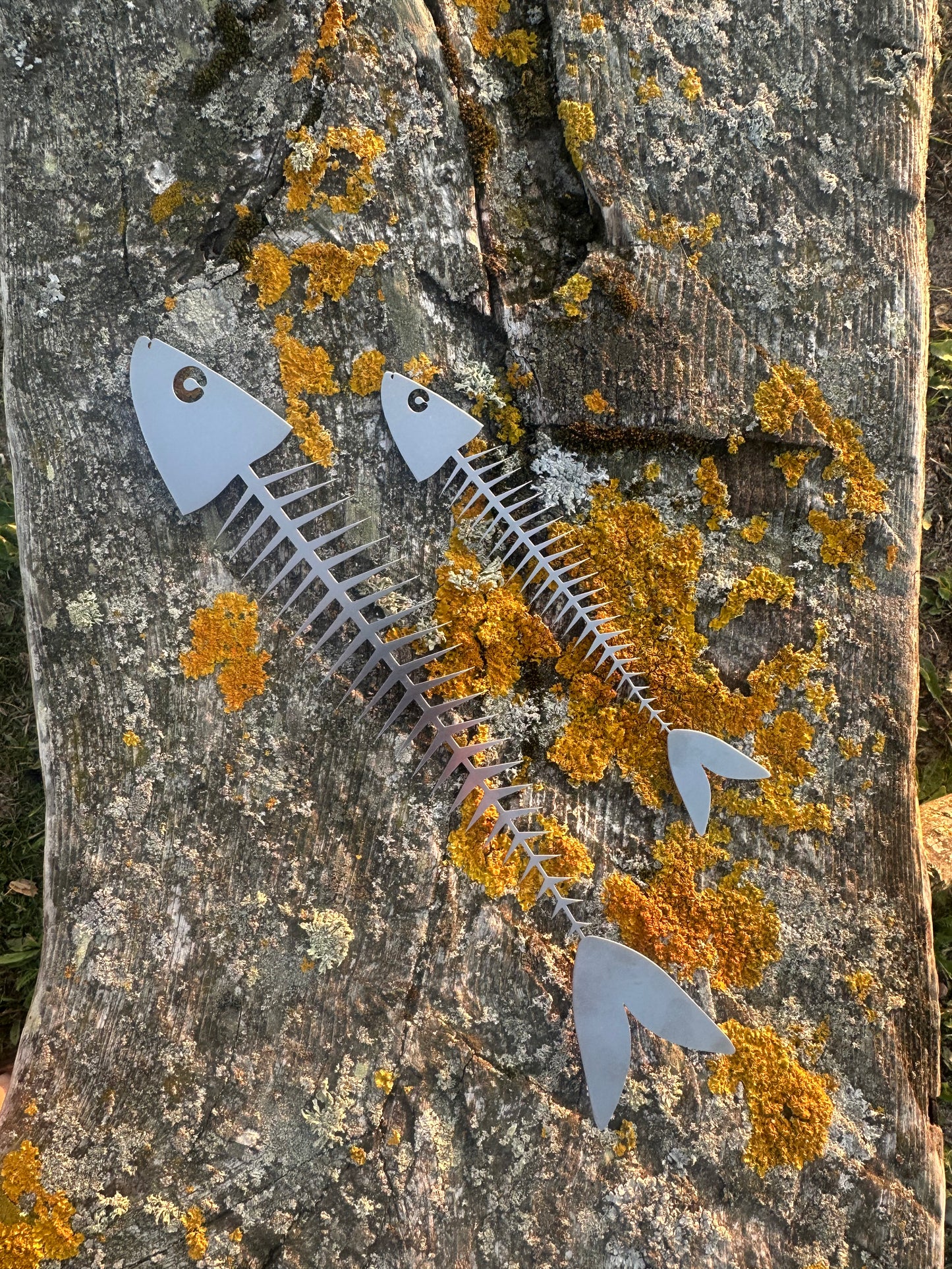 Fishbone